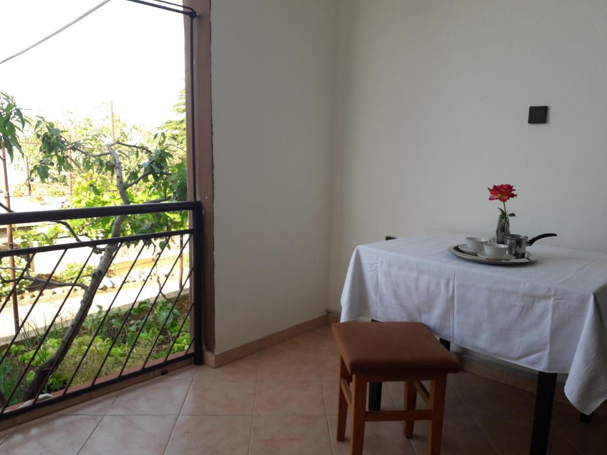 Apartment Ana Novi V. -